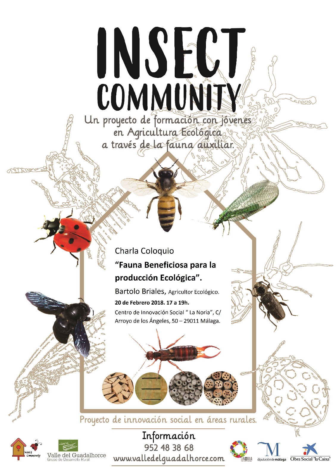 Insect Community